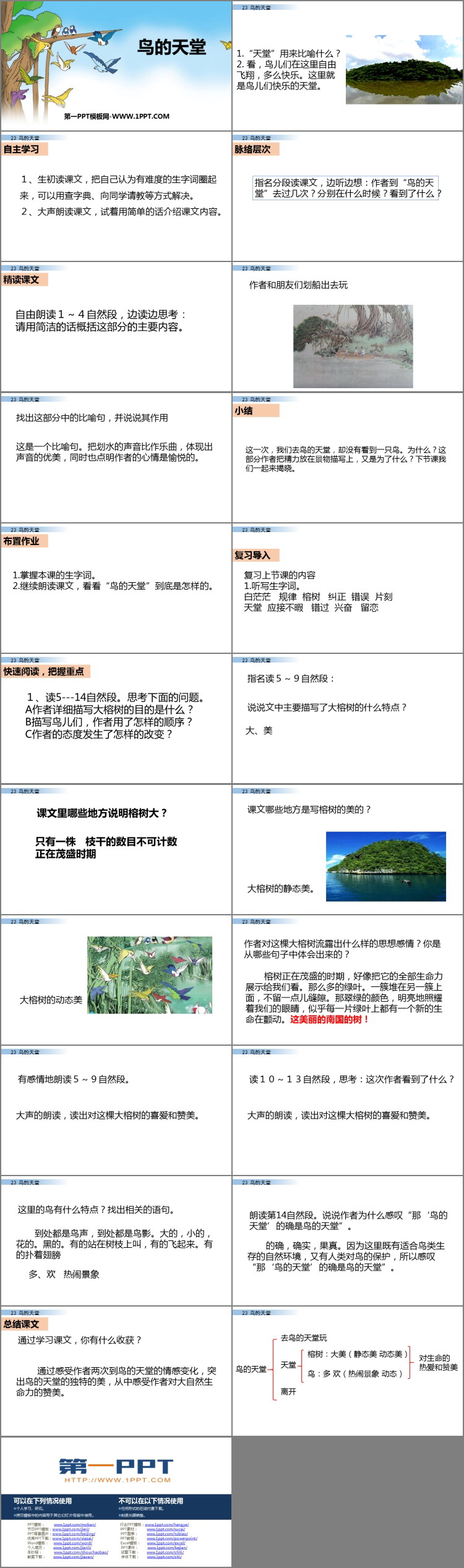 图片[2]-《鸟的天堂》PPT课件免费下载-第一PPT
