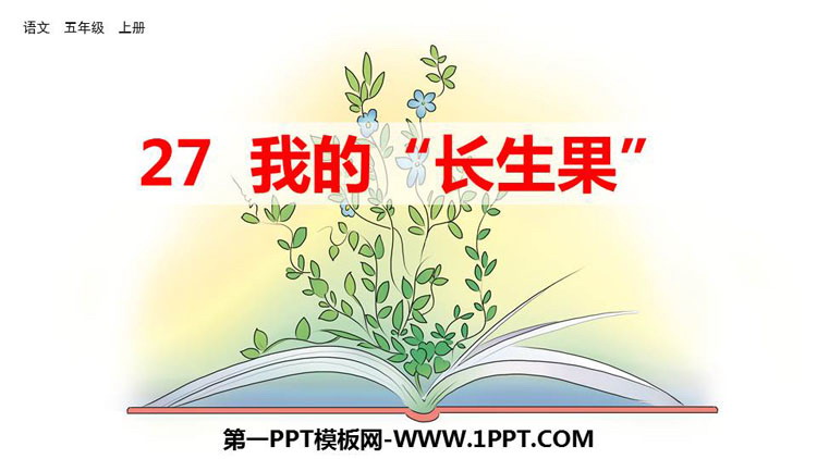 图片[1]-《我的“长生果”》PPT优质课件-第一PPT