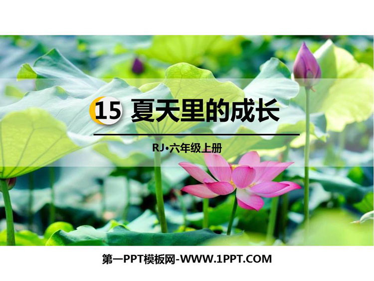 图片[1]-《夏天里的成长》PPT课文课件-第一PPT