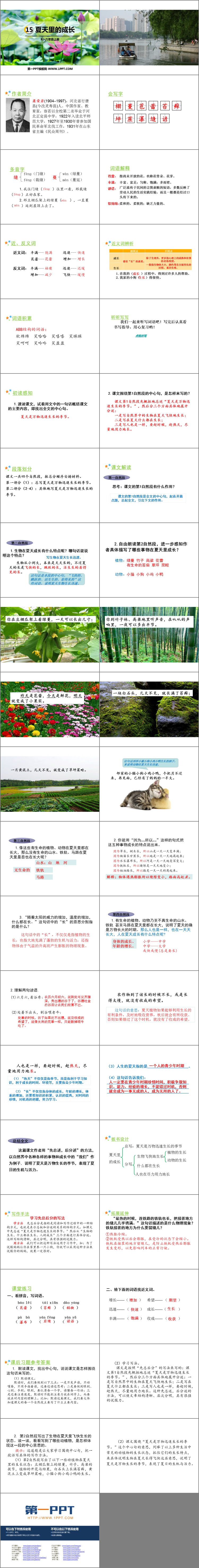 图片[2]-《夏天里的成长》PPT课文课件-第一PPT