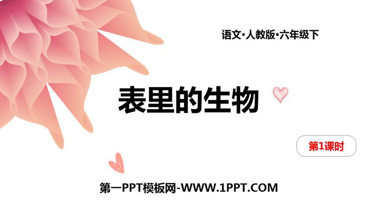 图片[1]-《表里的生物》PPT课件(第1课时)-第一PPT