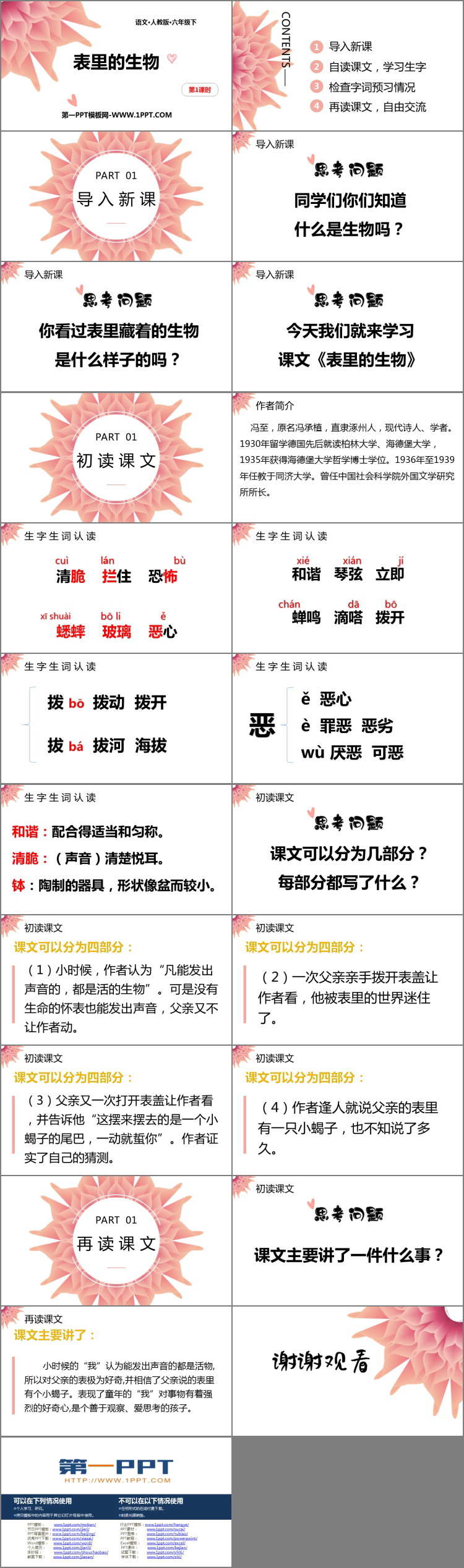 图片[2]-《表里的生物》PPT课件(第1课时)-第一PPT