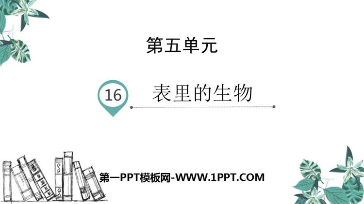 图片[1]-《表里的生物》PPT精品课件-第一PPT