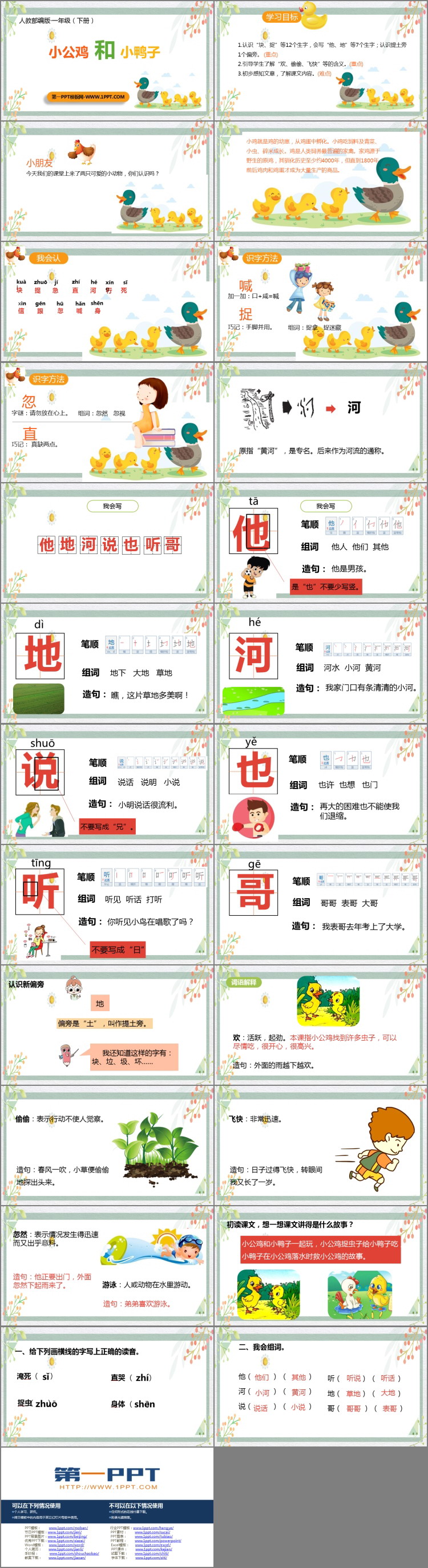图片[2]-《小公鸡和小鸭子》PPT教学课件下载-第一PPT