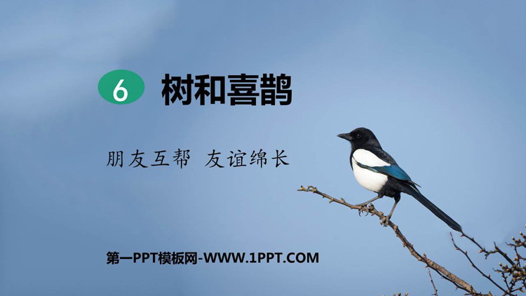 图片[1]-《树和喜鹊》PPT课文课件下载-第一PPT