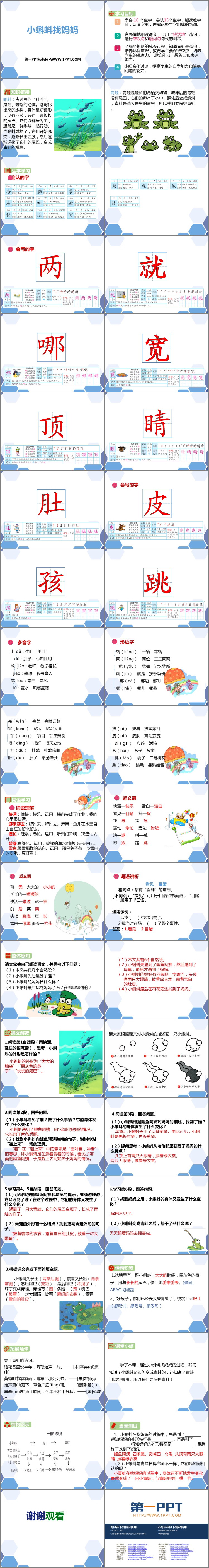 图片[2]-《小蝌蚪找妈妈》PPT精品教学课件-第一PPT