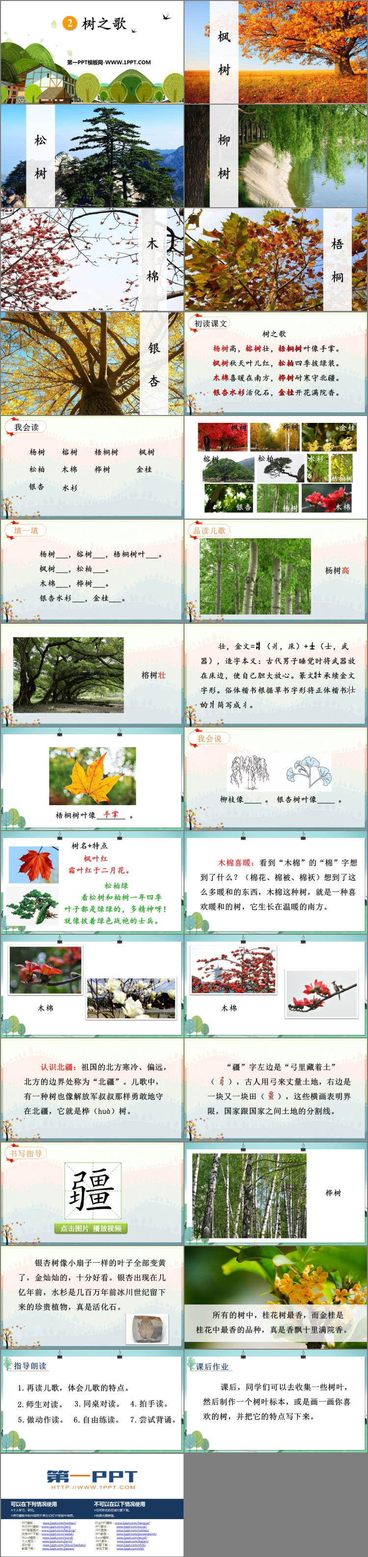 图片[2]-《树之歌》PPT优质课件下载-第一PPT