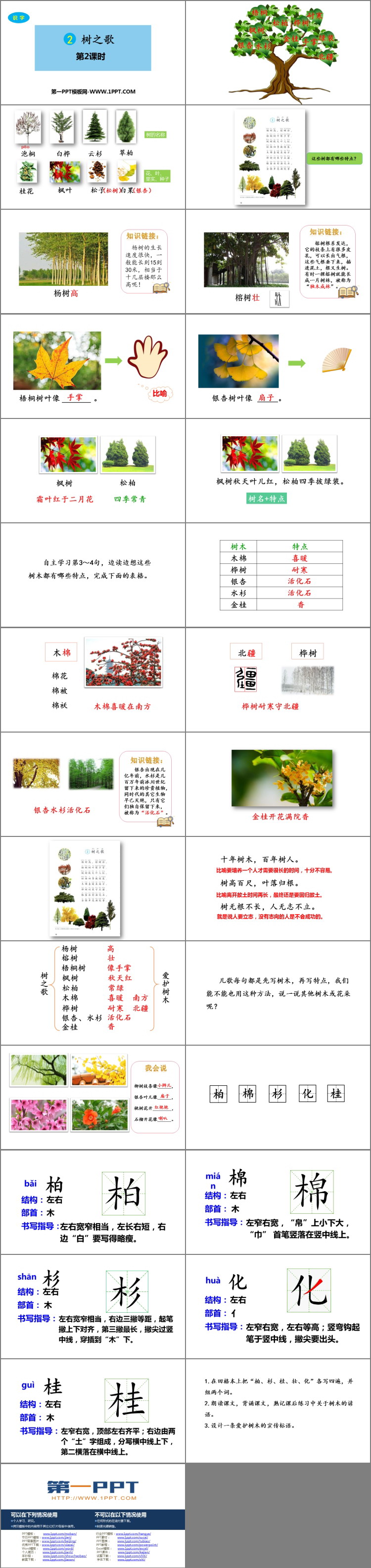 图片[2]-树之歌-第一PPT