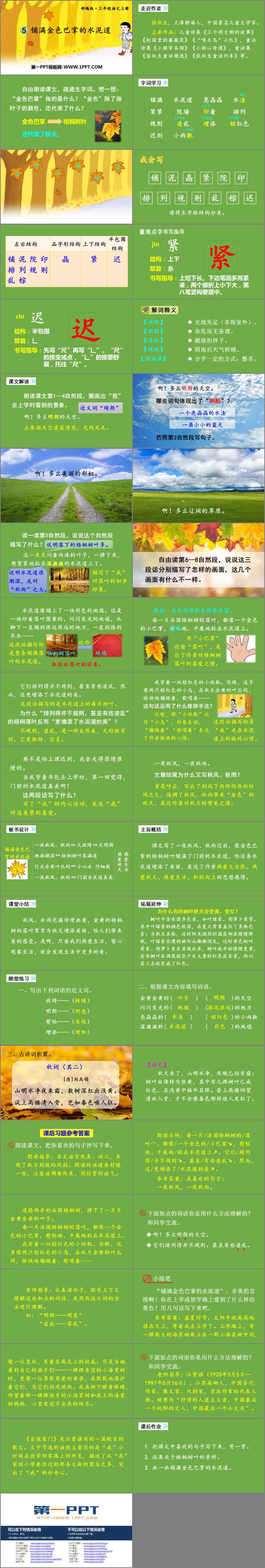 图片[2]-《铺满金色巴掌的水泥道》PPT优秀课件下载-第一PPT