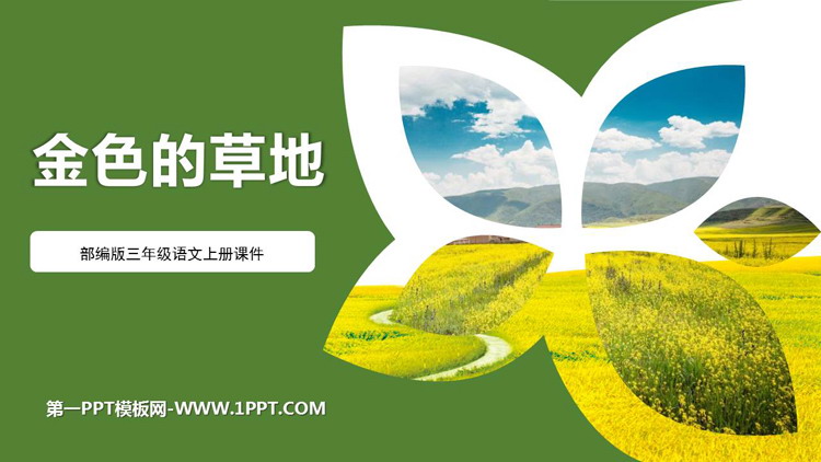 图片[1]-《金色的草地》PPT免费教学课件-第一PPT