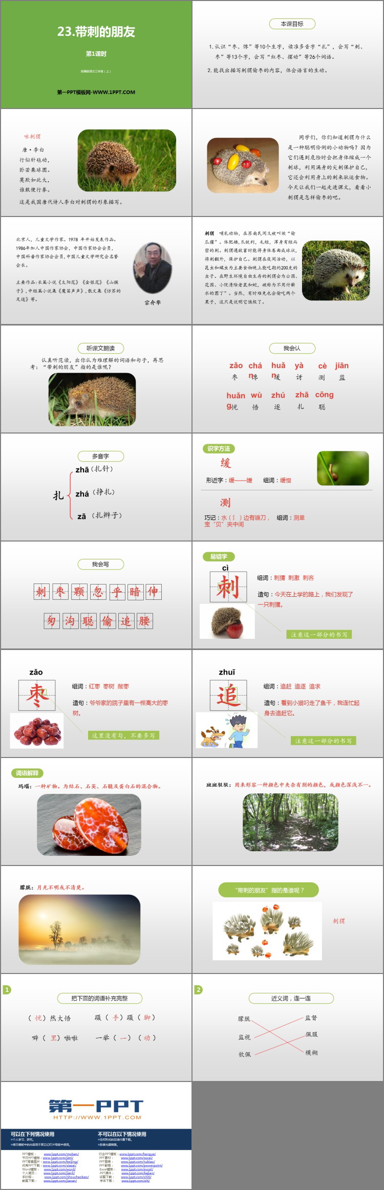 图片[2]-《带刺的朋友》PPT下载(第1课时)-第一PPT