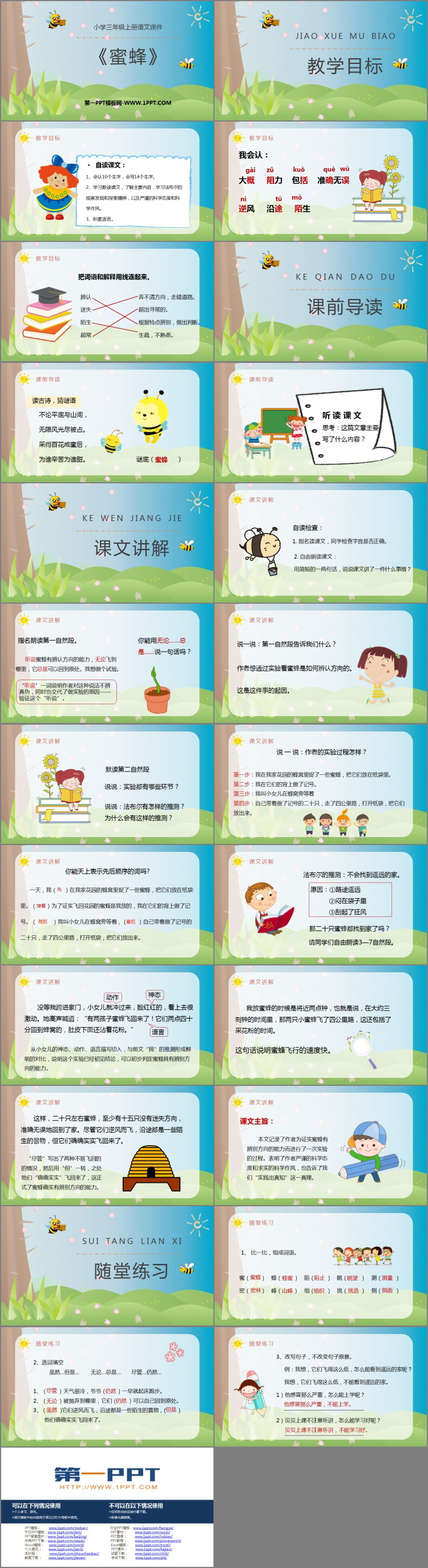 图片[2]-《蜜蜂》PPT精品课件-第一PPT