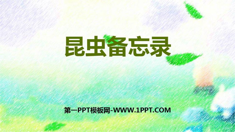 图片[1]-《昆虫备忘录》PPT精品课件下载-第一PPT