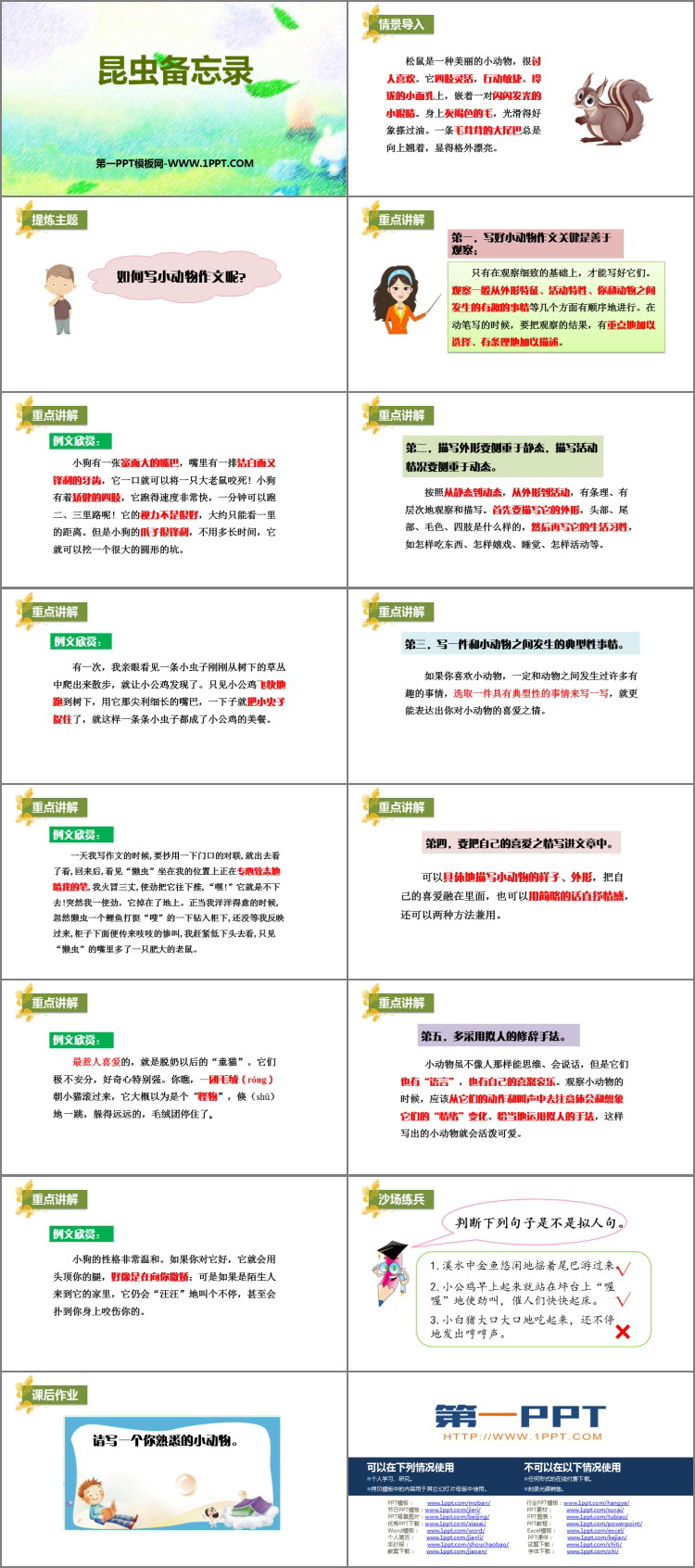 图片[2]-《昆虫备忘录》PPT精品课件下载-第一PPT