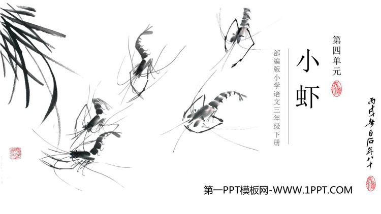 图片[1]-《小虾》PPT优质课件下载-第一PPT
