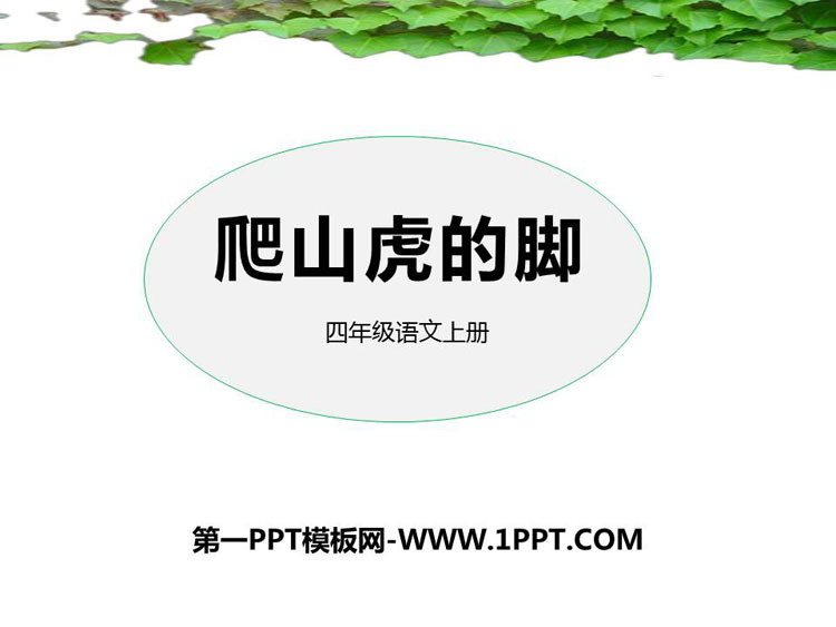 图片[1]-《爬山虎的脚》PPT优质课件-第一PPT