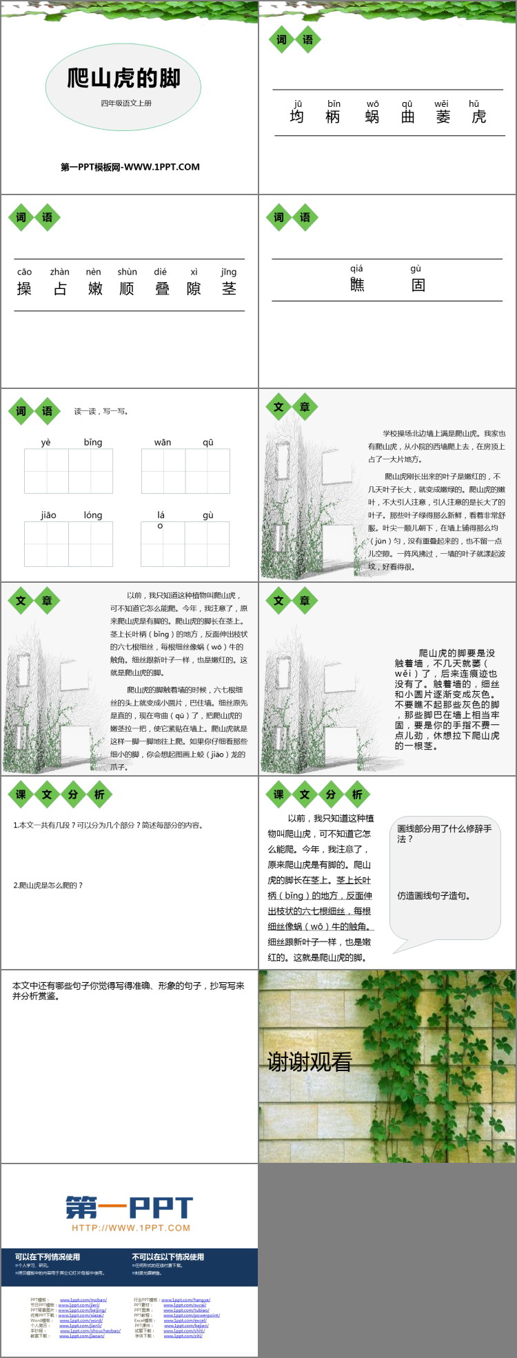 图片[2]-《爬山虎的脚》PPT优质课件-第一PPT