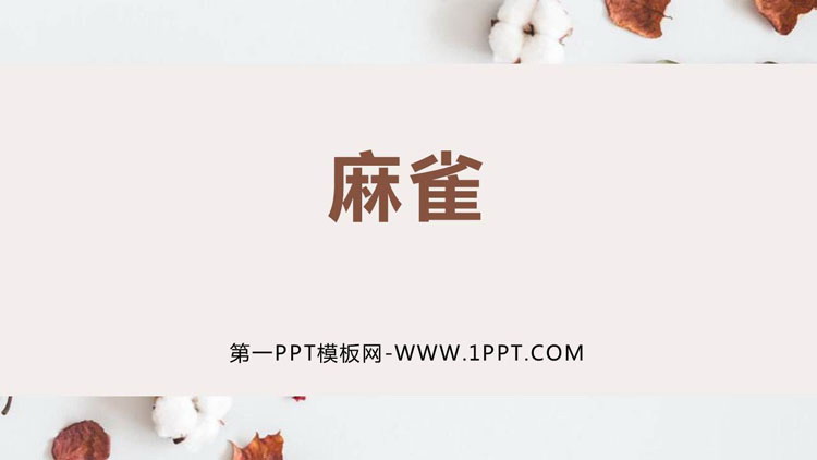 图片[1]-《麻雀》PPT精品课件下载-第一PPT