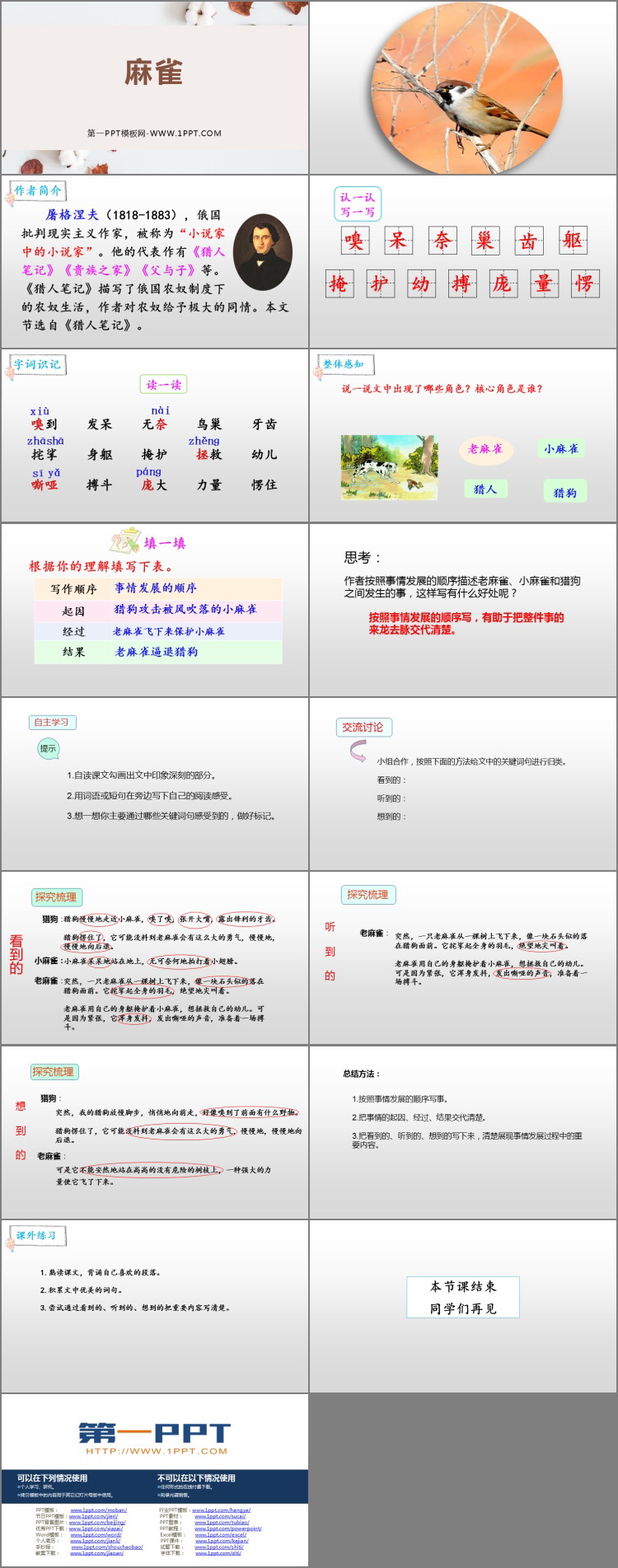 图片[2]-《麻雀》PPT精品课件下载-第一PPT