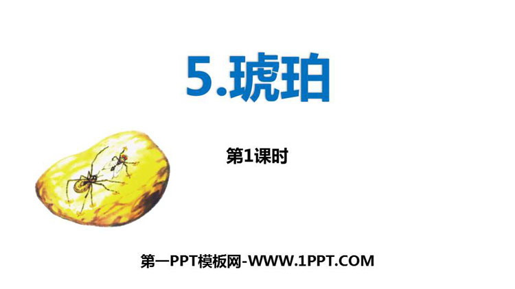 图片[1]-《琥珀》PPT教学课件(第1课时)-第一PPT
