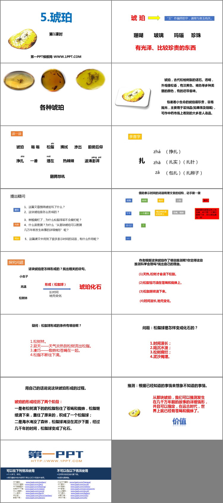 图片[2]-《琥珀》PPT教学课件(第1课时)-第一PPT