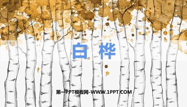 图片[1]-《白桦》PPT课文课件-第一PPT