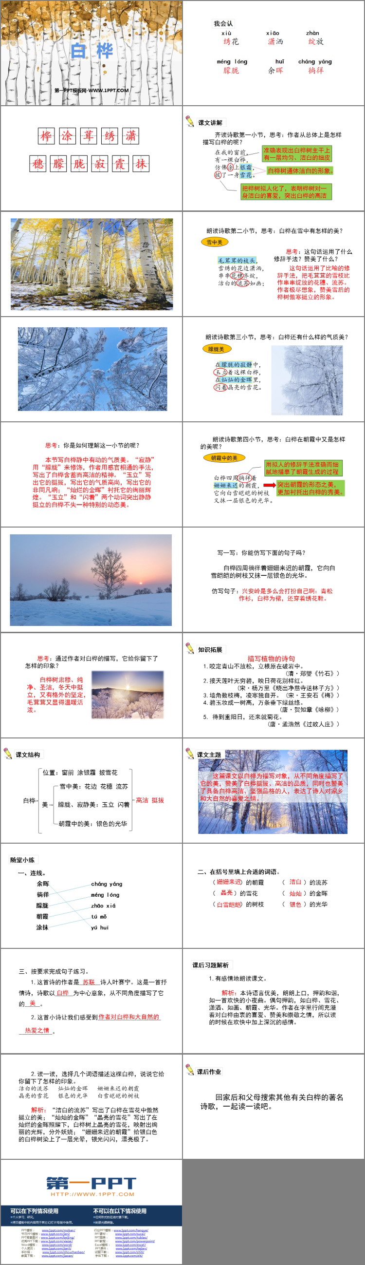 图片[2]-《白桦》PPT课文课件-第一PPT
