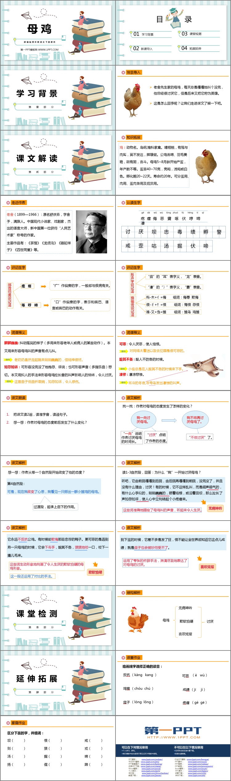 图片[2]-母鸡-第一PPT