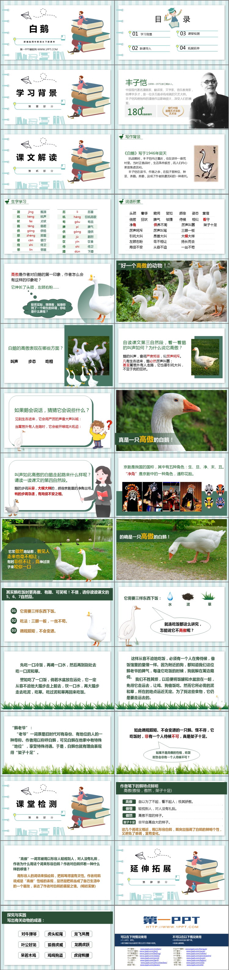 图片[2]-《白鹅》PPT优质课件-第一PPT