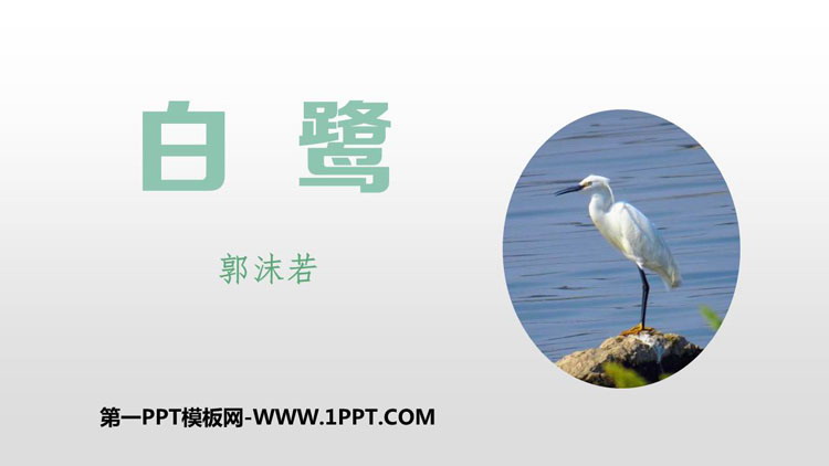 图片[1]-《白鹭》PPT精品课件下载-第一PPT