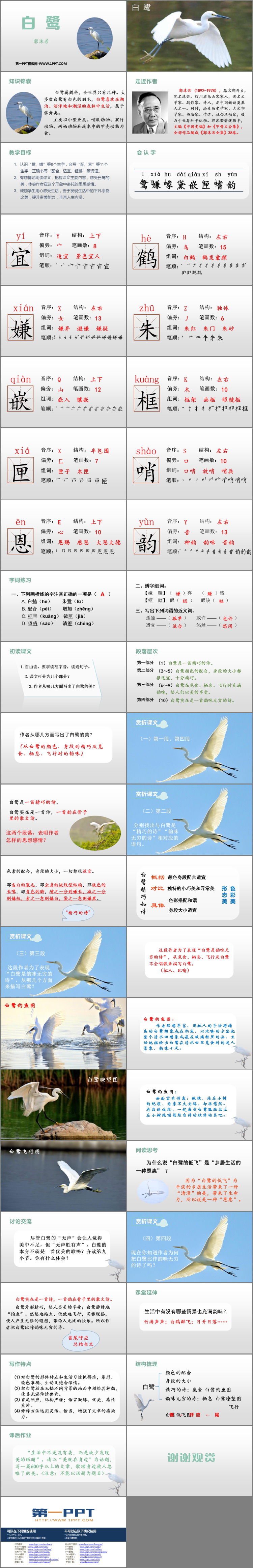 图片[2]-《白鹭》PPT精品课件下载-第一PPT