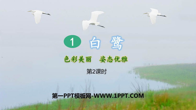图片[1]-《白鹭》PPT教学课件(第2课时)-第一PPT