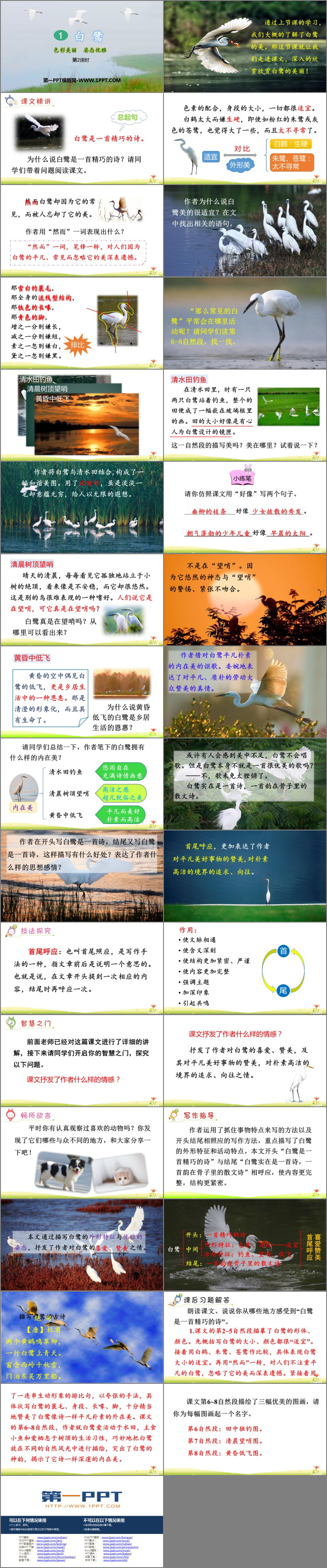 图片[2]-《白鹭》PPT教学课件(第2课时)-第一PPT