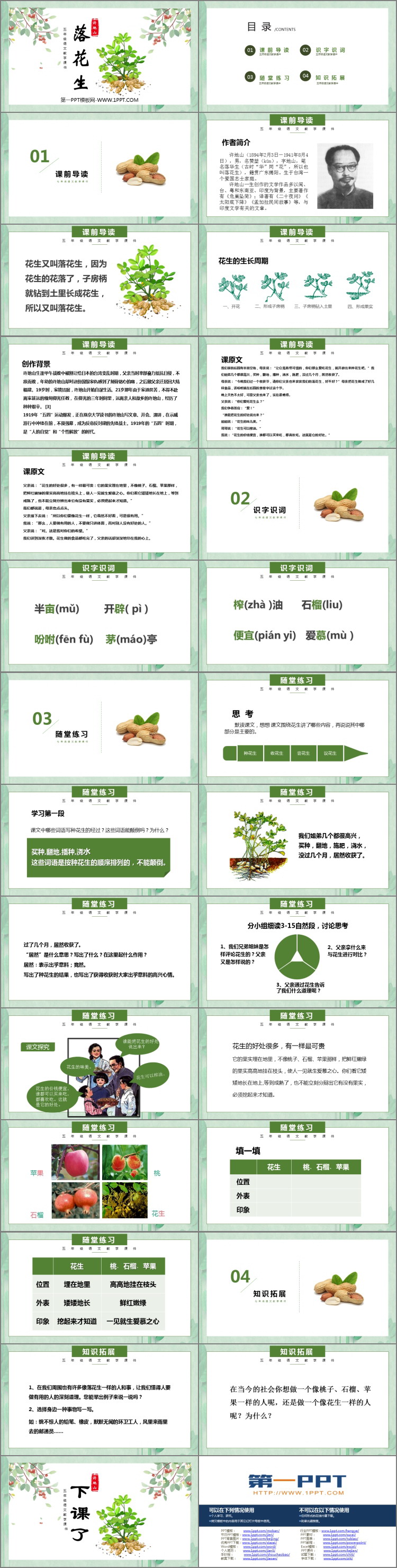 图片[2]-《落花生》PPT优质教学课件-第一PPT