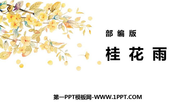 图片[1]-《桂花雨》PPT优质教学课件-第一PPT
