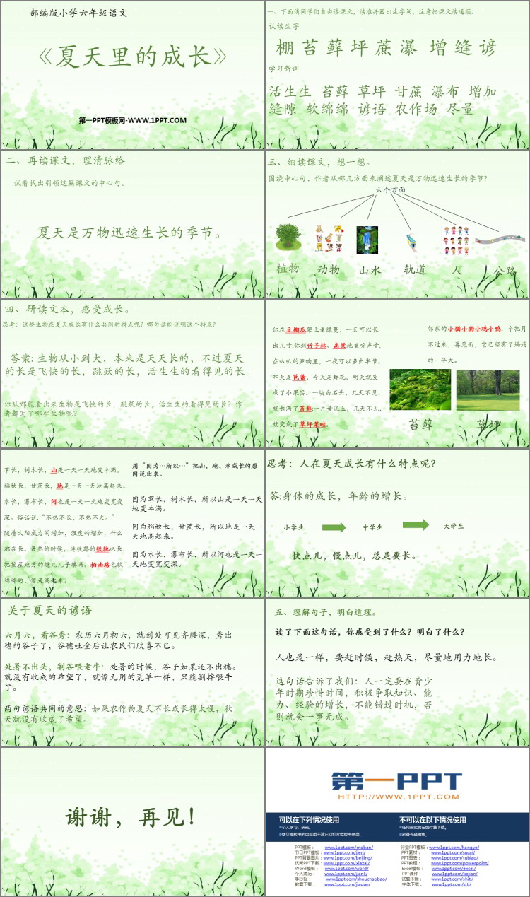 图片[2]-《夏天里的成长》PPT精品课件下载-第一PPT
