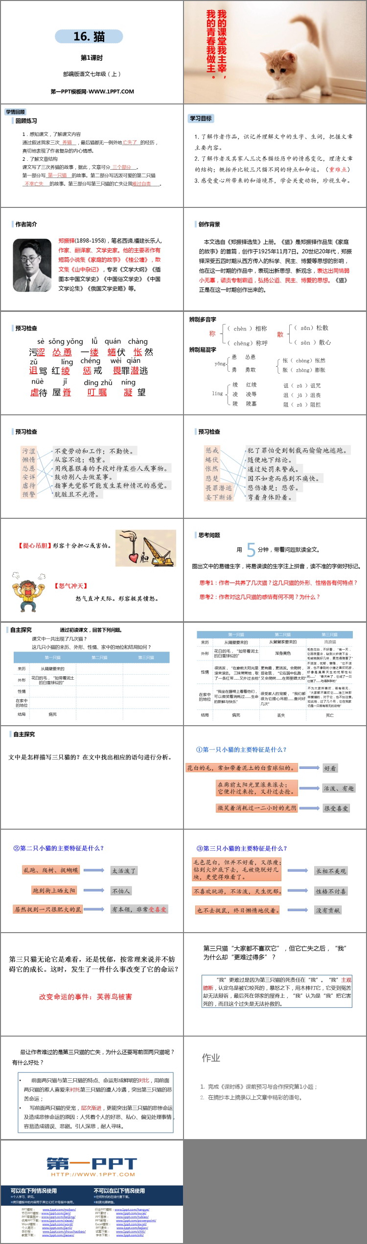 图片[2]-《猫》PPT课件下载(第1课时)-第一PPT