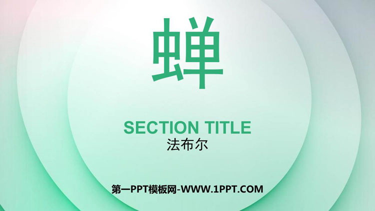 图片[1]-蝉-第一PPT