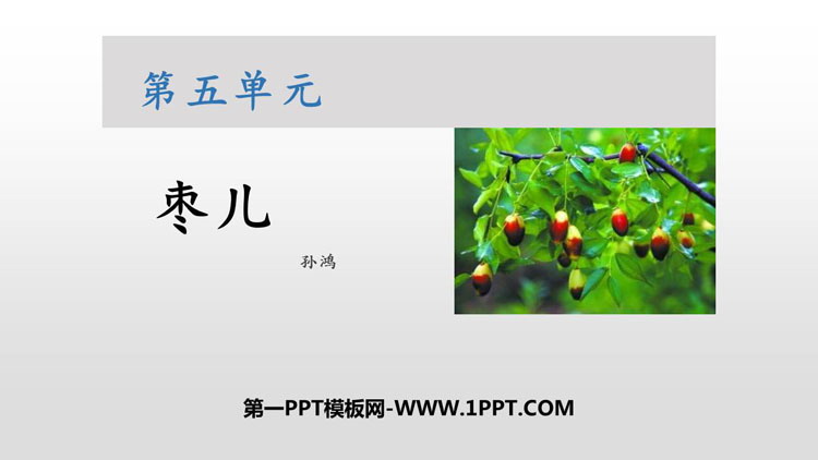 图片[1]-《枣儿》PPT课文课件下载-第一PPT