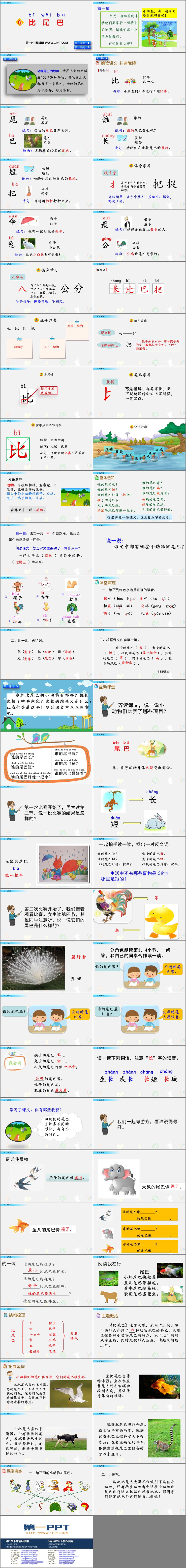 图片[2]-比尾巴-第一PPT