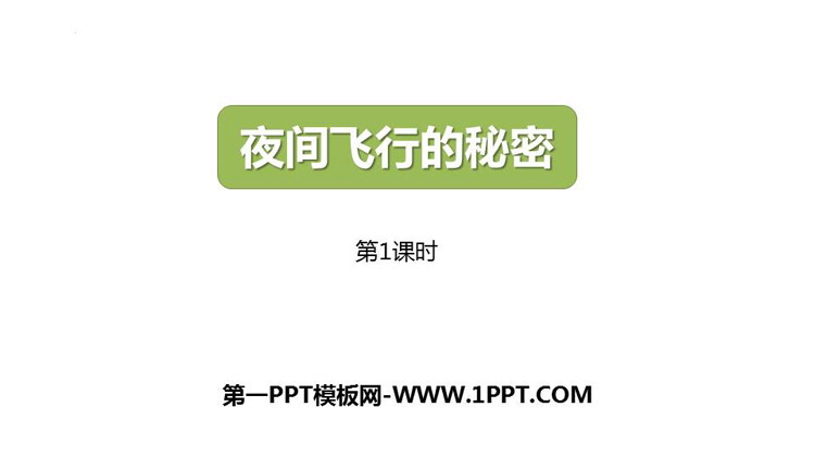 图片[1]-《夜间飞行的秘密》PPT下载(第1课时)-第一PPT