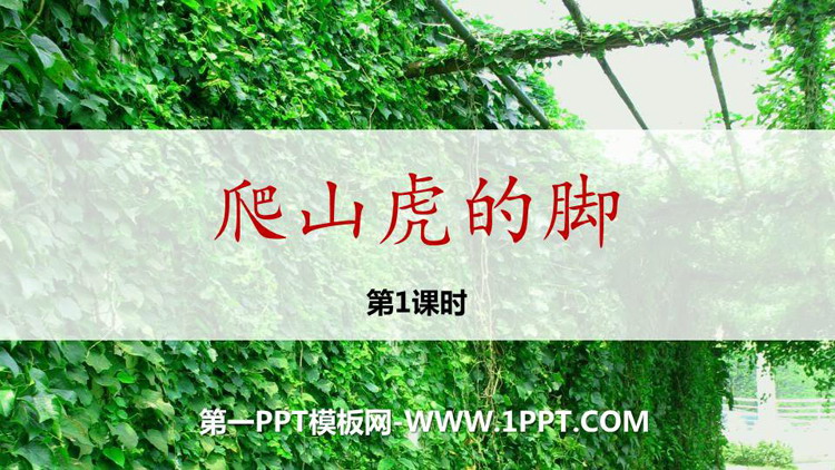 图片[1]-《爬山虎的脚》PPT精品课件(第1课时)-第一PPT