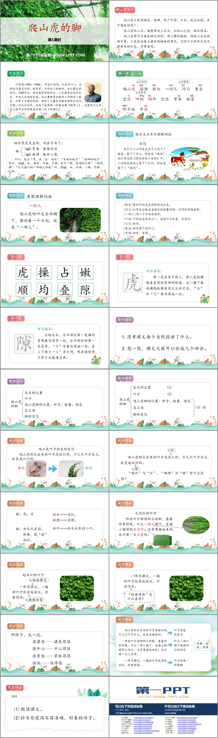 图片[2]-《爬山虎的脚》PPT精品课件(第1课时)-第一PPT