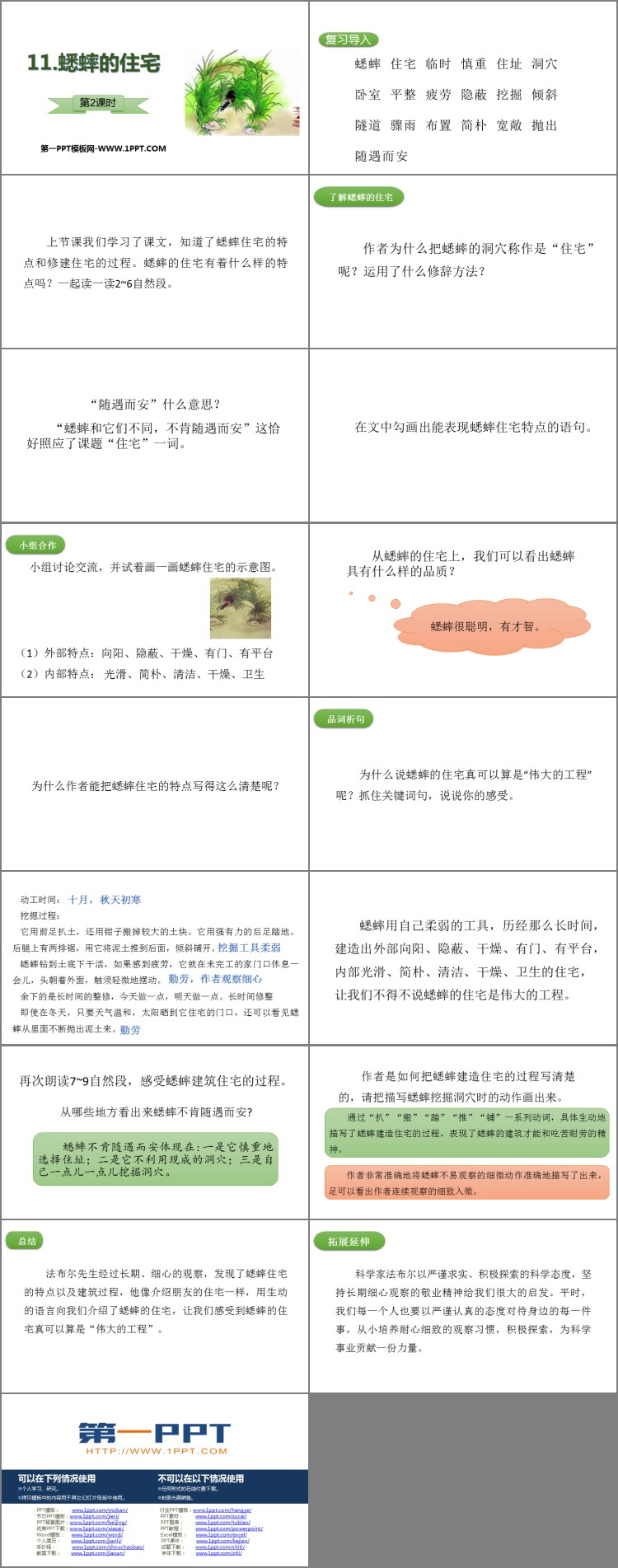 图片[2]-《蟋蟀的住宅》PPT教学课件(第2课时)-第一PPT
