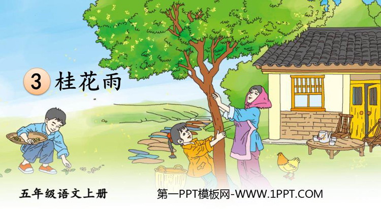 图片[1]-《桂花雨》PPT免费教学课件-第一PPT