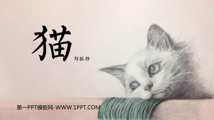 图片[1]-《猫》PPT免费优质课件-第一PPT