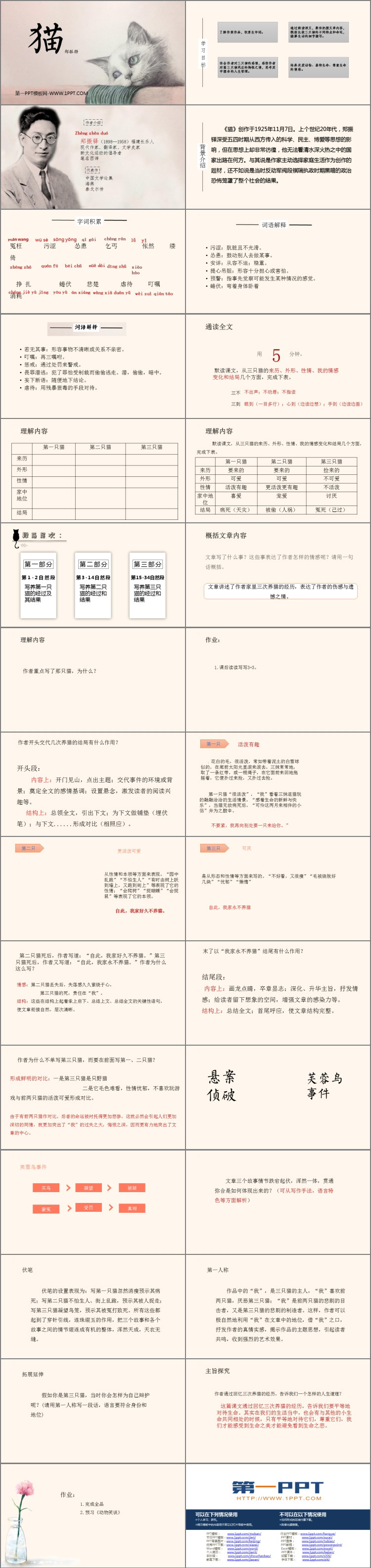 图片[2]-《猫》PPT免费优质课件-第一PPT