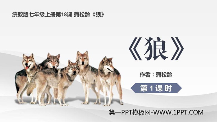 图片[1]-《狼》PPT课件下载(第1课时)-第一PPT