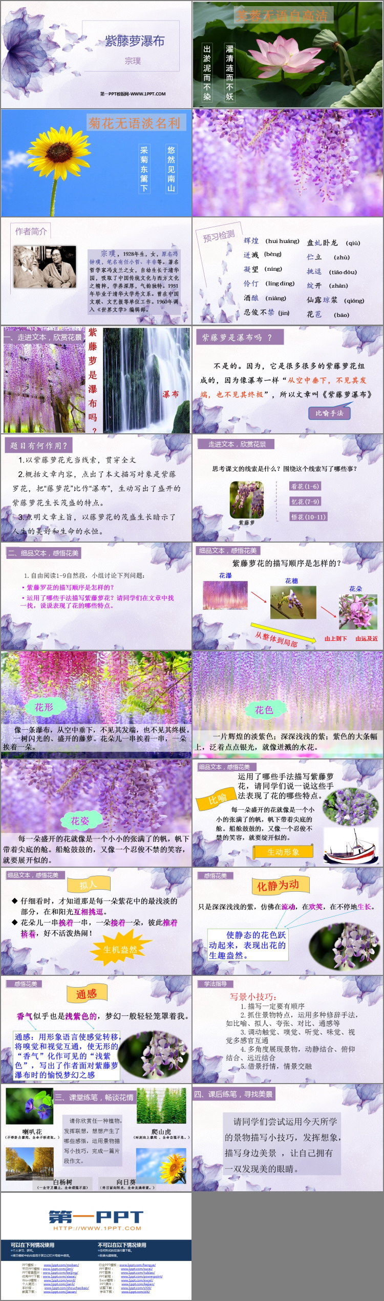 图片[2]-《紫藤萝瀑布》PPT精品教学课件-第一PPT
