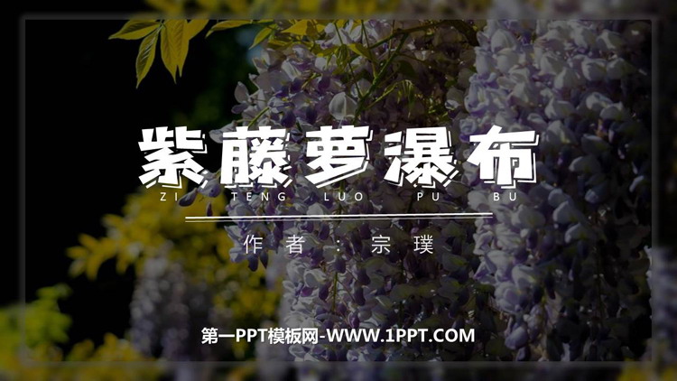 图片[1]-《紫藤萝瀑布》PPT优秀教学课件-第一PPT